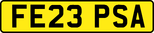 FE23PSA