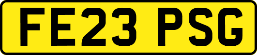 FE23PSG