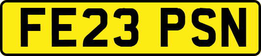 FE23PSN