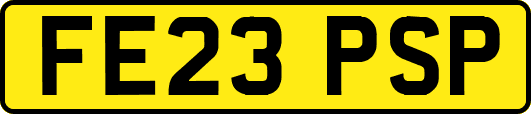 FE23PSP