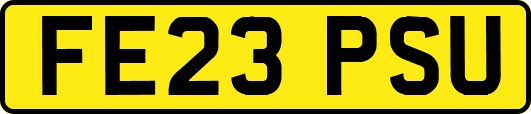 FE23PSU