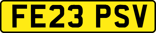 FE23PSV