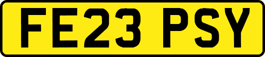 FE23PSY
