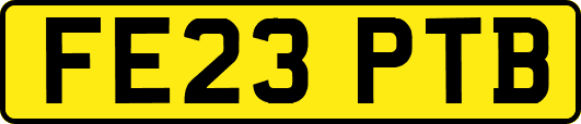 FE23PTB