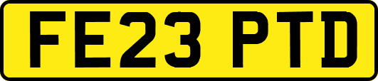 FE23PTD