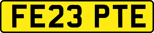 FE23PTE