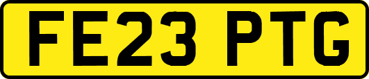 FE23PTG