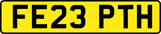FE23PTH