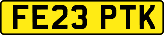 FE23PTK