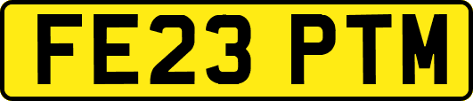 FE23PTM