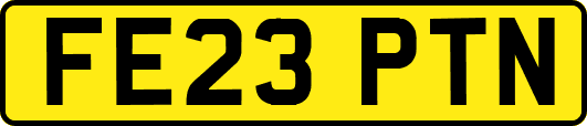 FE23PTN