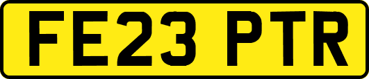 FE23PTR