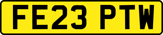FE23PTW