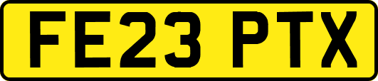 FE23PTX