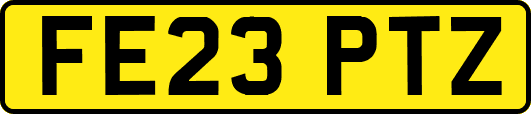 FE23PTZ