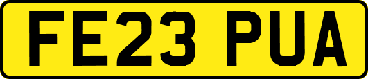 FE23PUA