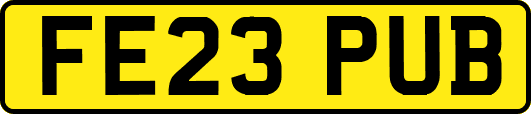 FE23PUB