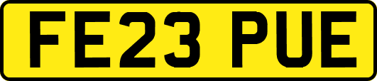 FE23PUE