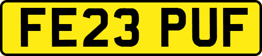 FE23PUF