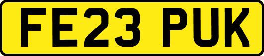 FE23PUK