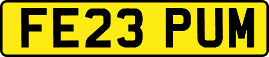 FE23PUM