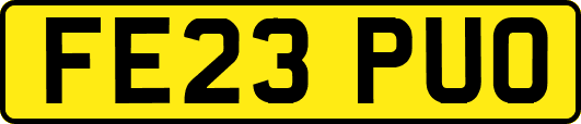 FE23PUO