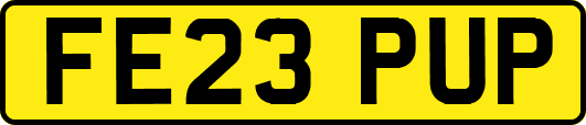 FE23PUP