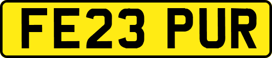 FE23PUR