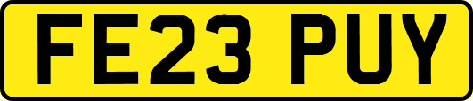 FE23PUY