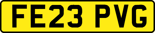 FE23PVG