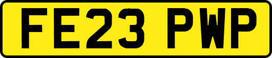 FE23PWP