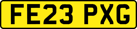 FE23PXG