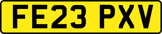 FE23PXV