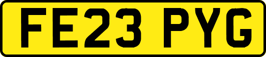 FE23PYG