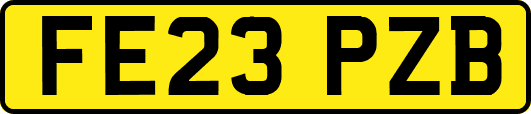 FE23PZB