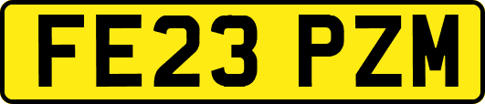 FE23PZM