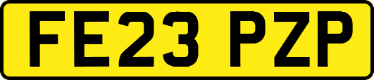 FE23PZP