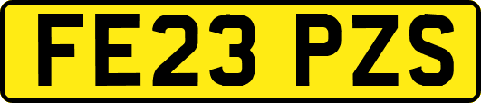 FE23PZS