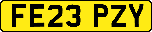 FE23PZY