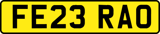 FE23RAO