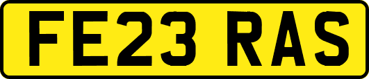 FE23RAS
