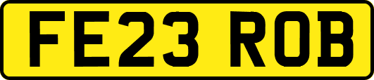 FE23ROB