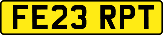 FE23RPT