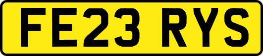 FE23RYS