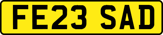 FE23SAD