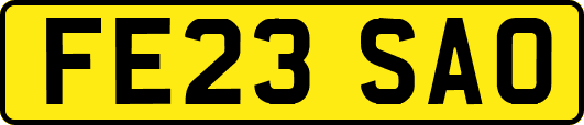 FE23SAO