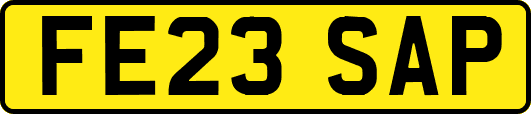 FE23SAP