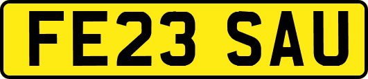FE23SAU