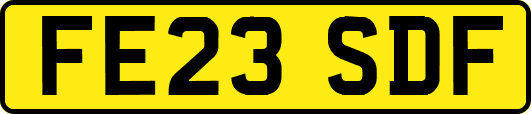 FE23SDF