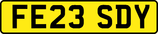 FE23SDY